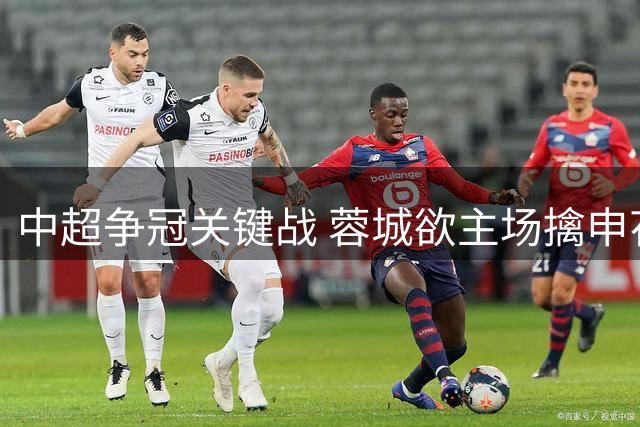 中超争冠关键战 蓉城欲主场擒申花