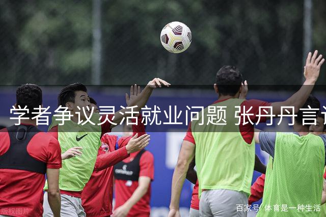 学者争议灵活就业问题 张丹丹言论引社会各界热议
