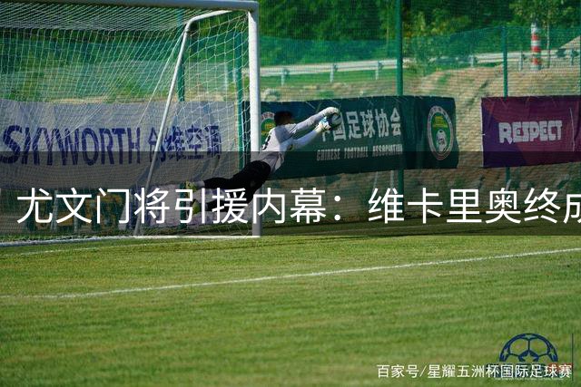 尤文门将引援内幕：维卡里奥终成最终选择