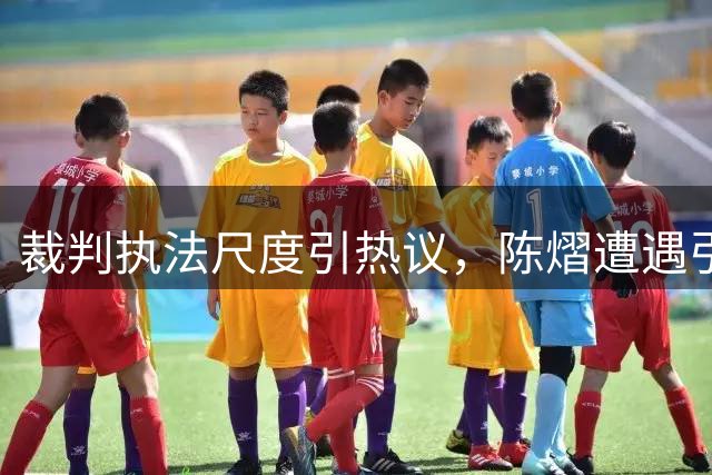 裁判执法尺度引热议，陈熠遭遇引发公正思考
